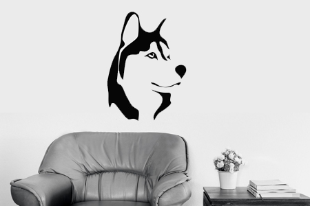 Vinilos de animales, autos, futbolistas.